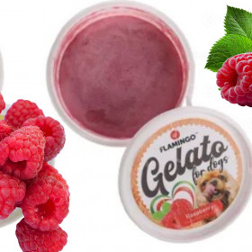 Италиански сладолед за кучета  FLAMINGO Snack Gelato ice cream с вкус на малина